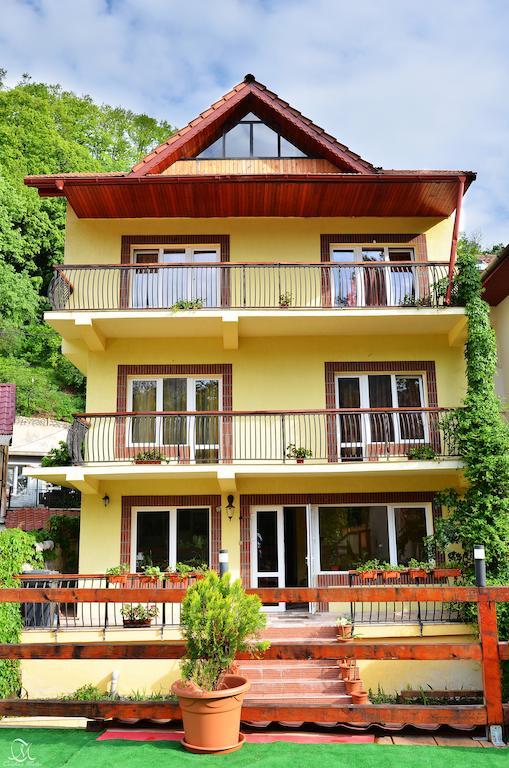 Pensiunea Deea Бэиле-Еркулане Экстерьер фото